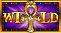 Avalanche™ image