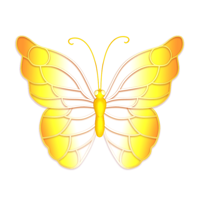 Butterfly Spins image